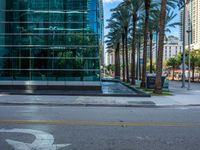 a paved sidewalk near palm trees and a building with some windows behind it near the curb