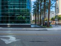 a paved sidewalk near palm trees and a building with some windows behind it near the curb