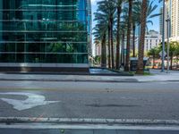 a paved sidewalk near palm trees and a building with some windows behind it near the curb