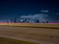 city lights streaking in the background while overpasses pass on the highway into a freeway