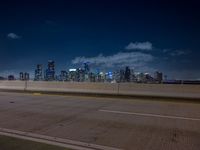 city lights streaking in the background while overpasses pass on the highway into a freeway