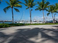 boats docked near a marina with many palm trees in the background at a resort in turks