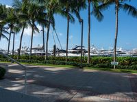 several boats are docked near the edge of a marina in miami, florida usa that overlooks a palm - lined street