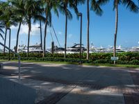 several boats are docked near the edge of a marina in miami, florida usa that overlooks a palm - lined street