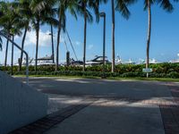 several boats are docked near the edge of a marina in miami, florida usa that overlooks a palm - lined street