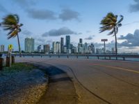 a view of a city from the water at sunset with palm trees blowing in the wind