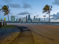 a view of a city from the water at sunset with palm trees blowing in the wind