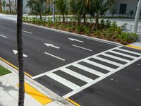 a crosswalk next to trees and buildings in the background, with palm trees and white tiles