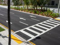 a crosswalk next to trees and buildings in the background, with palm trees and white tiles