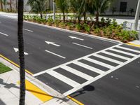 a crosswalk next to trees and buildings in the background, with palm trees and white tiles