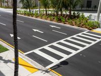 a crosswalk next to trees and buildings in the background, with palm trees and white tiles