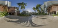 a man riding a skateboard in the air through palm trees as he rides down an empty street