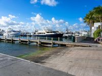 there are boats that are docked at the dock in this large marina area at the resort