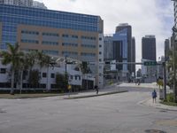 view of city with tall buildings in the background and palm trees lining the roadway of an empty road