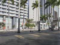 a street lined with tall palm trees in front of a large building in a city