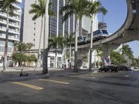 a street lined with tall palm trees in front of a large building in a city