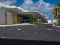 a road going into the building on which there are palm trees, and one of which is made from concrete