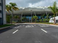 Miami, Florida: Straight Road Lined with Palm Trees