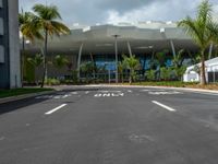 Miami, Florida: Straight Road Lined with Palm Trees