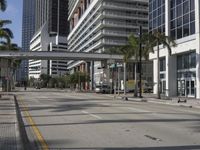 a street with trees and cars on it near tall buildings in miami, florida at the end of march, 2016