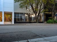 an empty street with a bench, building, and tree in the front yard in the distance