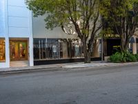 an empty street with a bench, building, and tree in the front yard in the distance