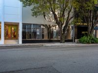 an empty street with a bench, building, and tree in the front yard in the distance