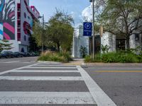 some street signs are on the side of a cross walk in an urban area with trees