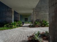 the entrance way of a cement building with many plants and shrubs in it, along with a fire hydrant and bench on the side