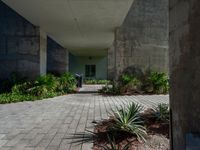 the entrance way of a cement building with many plants and shrubs in it, along with a fire hydrant and bench on the side