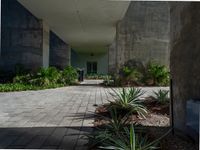 the entrance way of a cement building with many plants and shrubs in it, along with a fire hydrant and bench on the side