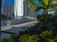 the entrance to an apartment with palms trees and bushes in the foreground, next to a concrete driveway