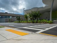 Miami, Florida: Urban Landscape with Palm Trees