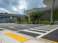 Miami, Florida: Urban Landscape with Palm Trees