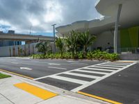 Miami, Florida: Urban Landscape with Palm Trees