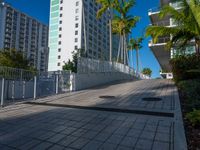 the entrance to an apartment with palms trees and bushes in the foreground, next to a concrete driveway