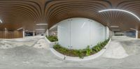 the fish eye shot shows the plant life inside of the large space at this building