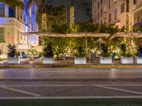 a bench with umbrellas sitting at night in the middle of town street next to trees