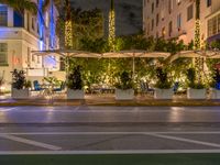 a bench with umbrellas sitting at night in the middle of town street next to trees