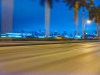 cars driving at night with tall palm trees in the foreground and skyline beyond and on the road