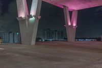 Night Cityscape of Miami: Pink Neon Lights