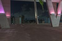 Night Cityscape of Miami: Pink Neon Lights