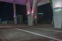 Night Cityscape of Miami: Pink Neon Lights