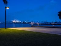 a lone street lamp lights up a nighttime beachfront park by a body of water