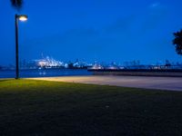 a lone street lamp lights up a nighttime beachfront park by a body of water