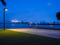 a lone street lamp lights up a nighttime beachfront park by a body of water