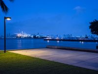 a lone street lamp lights up a nighttime beachfront park by a body of water