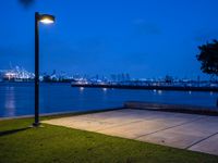 a lone street lamp lights up a nighttime beachfront park by a body of water