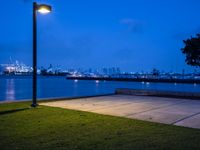 a lone street lamp lights up a nighttime beachfront park by a body of water