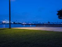 a lone street lamp lights up a nighttime beachfront park by a body of water